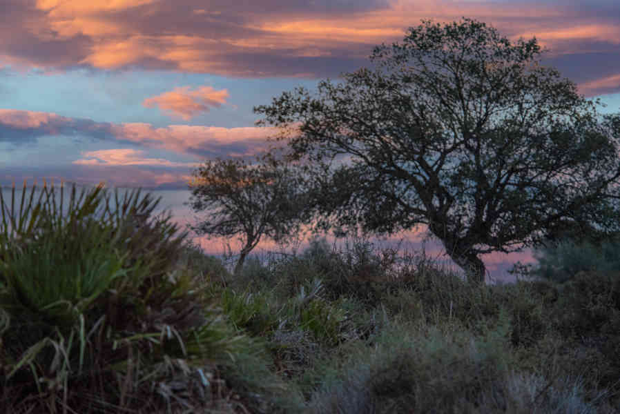 Huelva - parque nacional de Doñana 01 .jpg
